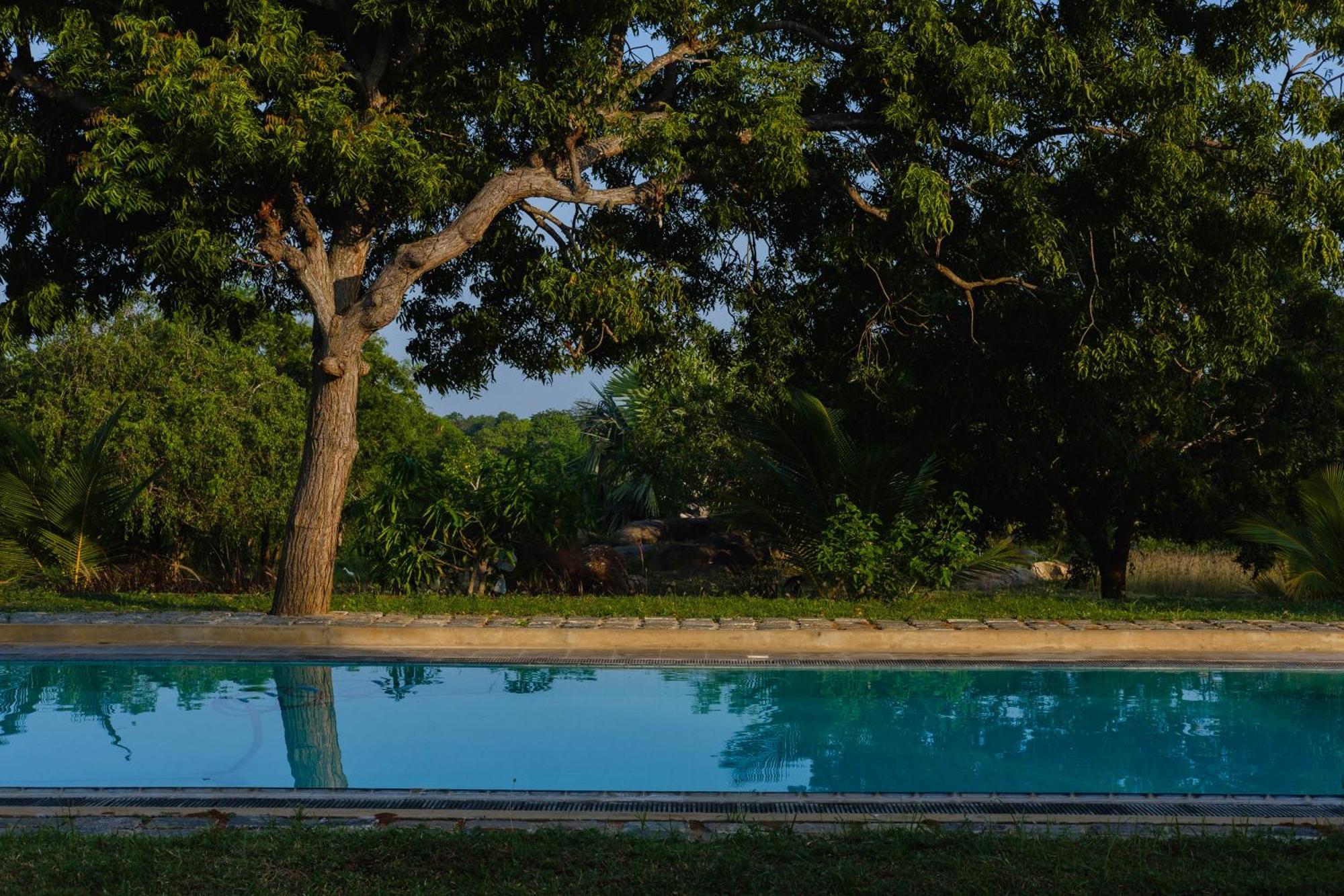Treasure Rock Bed & Breakfast คิรินดา ภายนอก รูปภาพ